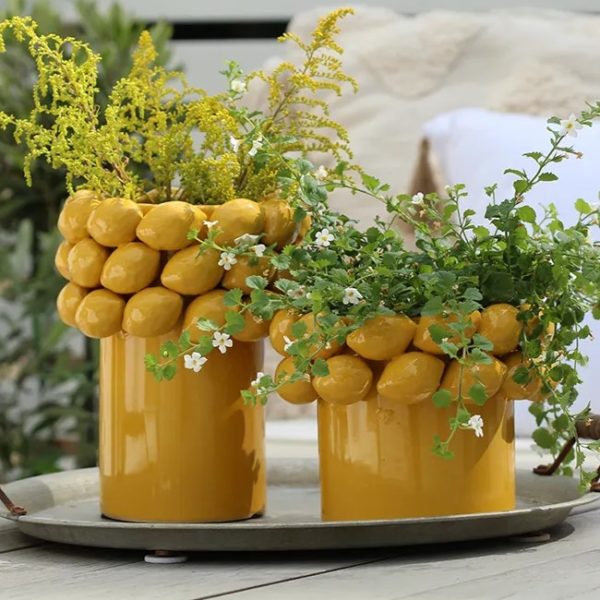 222383-84 - citron - citroner - kruka - vas - inredning - hemmet - köket - fönstret - gul - färgglad - miljöbild - växter