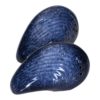 29250 - mussla - salt och peppar - present - havet