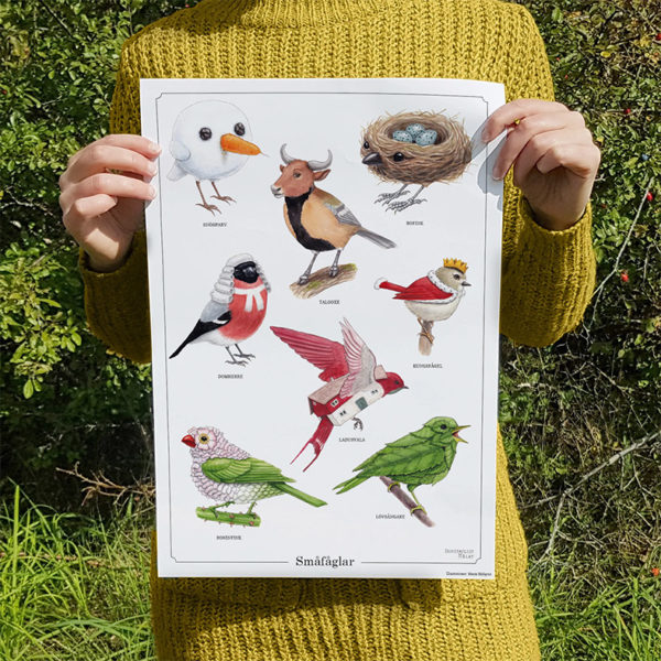 14AFF - affisch - rolig - kamixa.se - fåglar - småfåglar - fågelskådare - inredning - humor