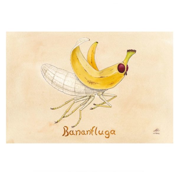 Bananfluga - vykort - bokstavligt målat - banan