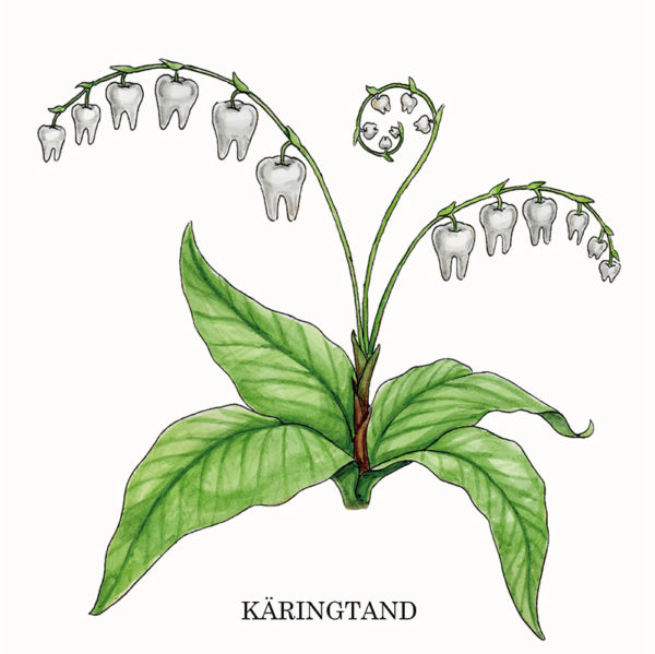 16AFF - kamixa.se - bokstavligt målat - maria - akvarell - rolig - fin - växter - inredning