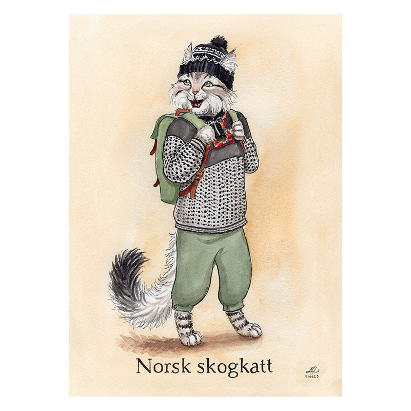 Vykort - Norsk skogkatt